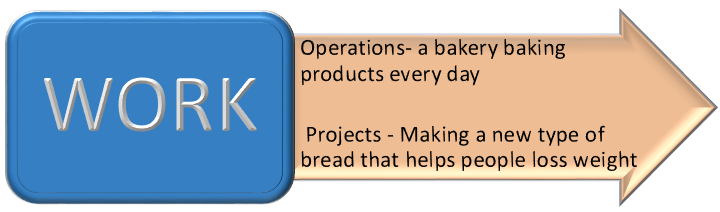 work comprises operations and projects